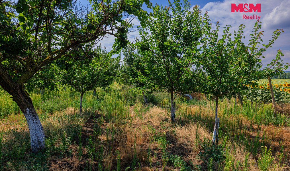 Prodej pole 14 490 m², Zaječí – náhled fotky 4