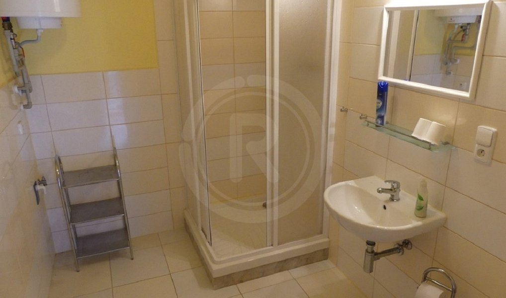 Prodej nájemního domu, činžáku 450 m², Pištín – náhled fotky 14