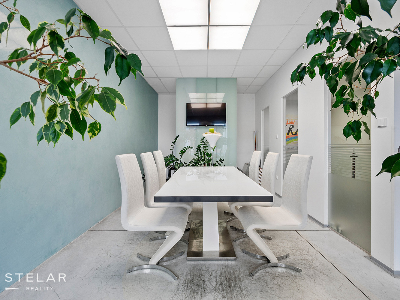 Pronájem obchodních prostor 300 m² – fotografie 4