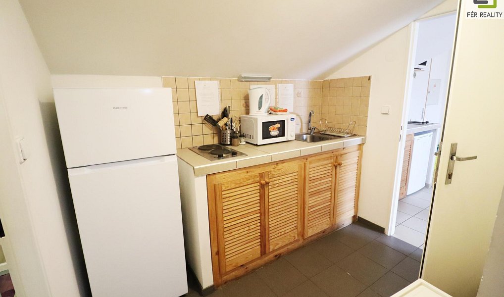 Prodej ubytovacího objektu 607 m², Vědomice – náhled fotky 19
