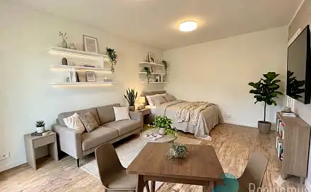 Pronájem bytu 1+kk 26 m²