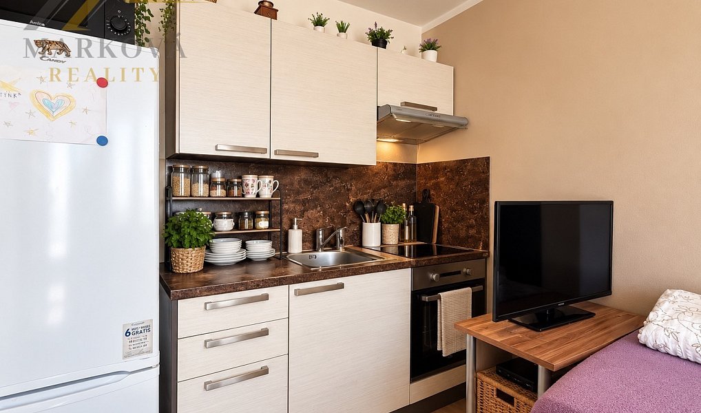 Prodej bytu 1+kk 23 m², České Budějovice – náhled fotky 3