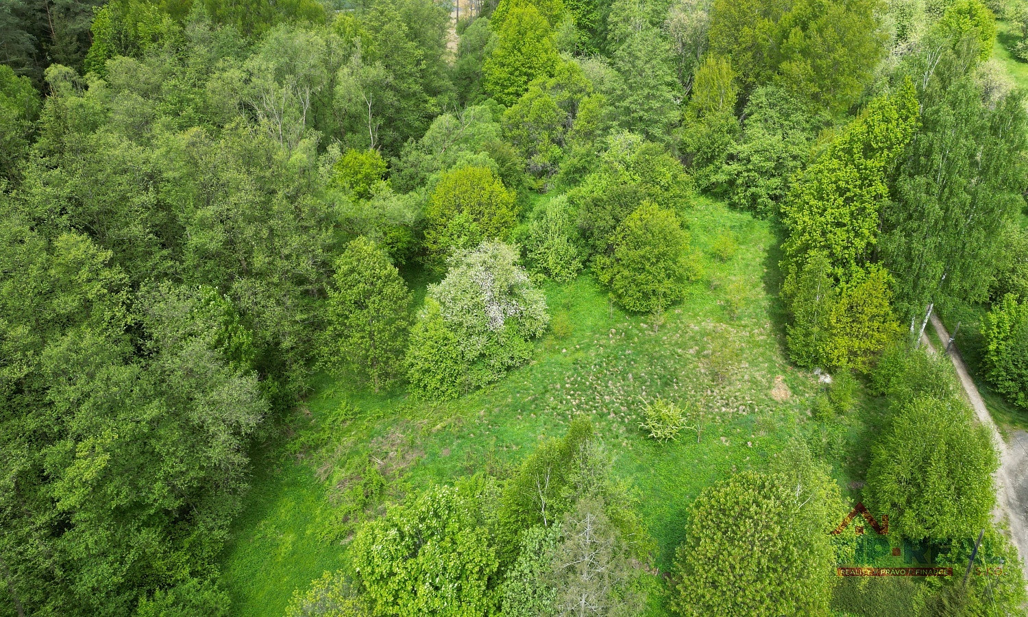 Prodej stavebního pozemku 1 769 m² – fotografie 5