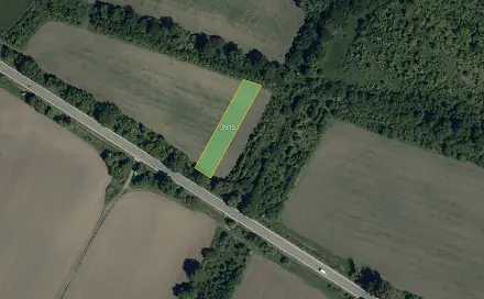 Prodej pole 3 239 m², Moravský Písek, okres Hodonín