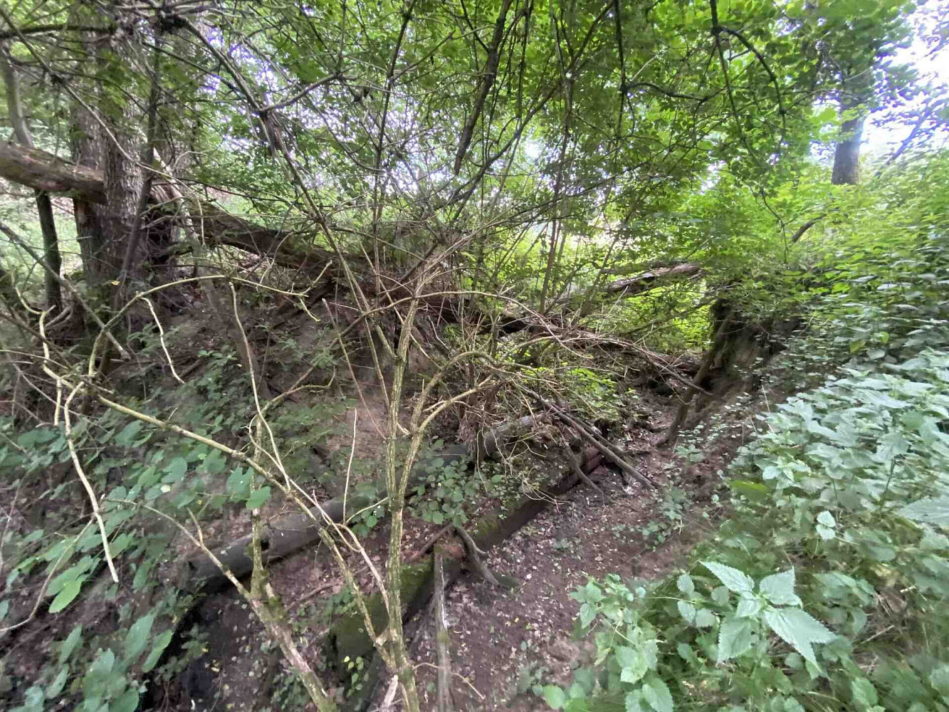 Fotka 9 z 15