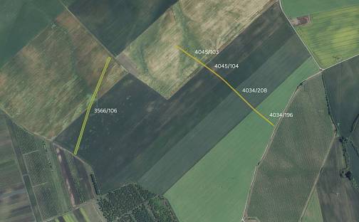 Prodej pole 14 563 m², Čejkovice, okres Hodonín