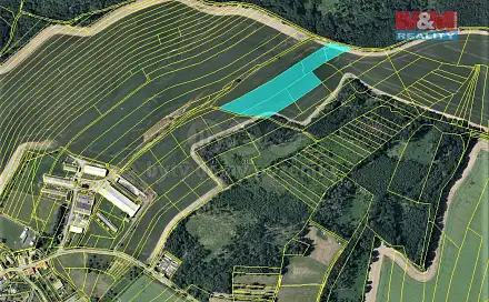 Prodej pole 11 645 m², Pavlov, okres Šumperk