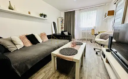 Pronájem bytu 1+1 55 m², Dlouhá, Nový Jičín