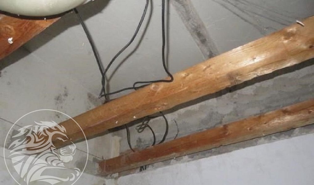 Prodej komerčního objektu (jiného typu) 2 957 m², Moravský Krumlov – náhled fotky 11