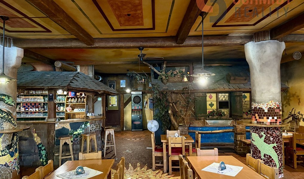 Pronájem obchodních prostor 350 m², Břeclav – náhled fotky 10