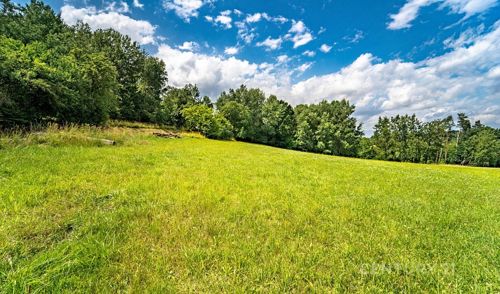 Prodej stavebního pozemku 2 511 m², Bělá pod Bezdězem – náhled fotky 16