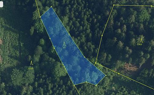 Prodej lesa 1 810 m², Plavy, okres Jablonec nad Nisou