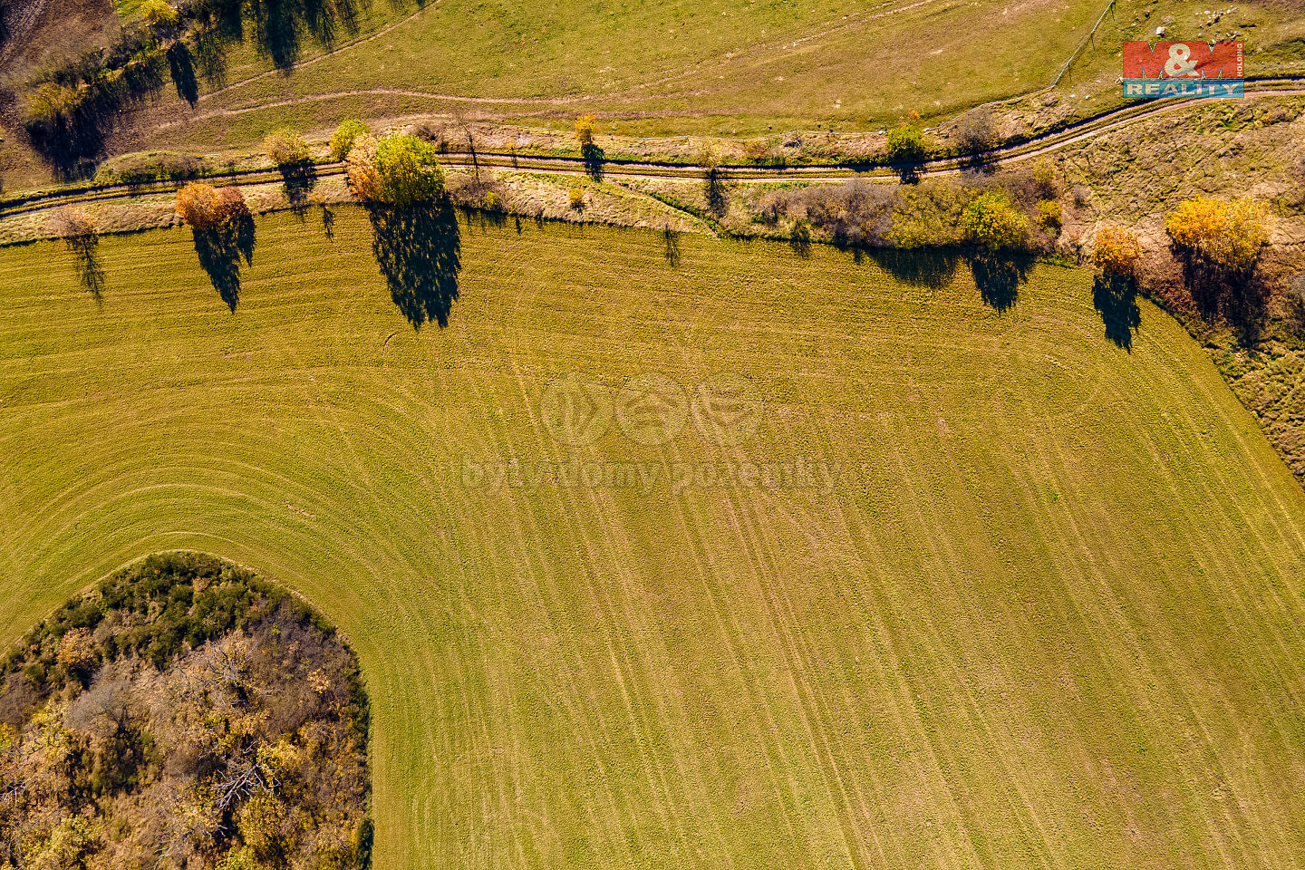 Prodej pole 6 484 m² – fotografie 5