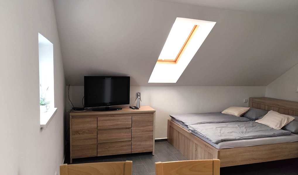 Prodej ubytovacího objektu 206 m², Dyjákovice – náhled fotky 17