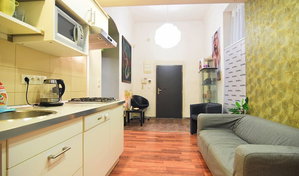 Prodej bytu 2+1 66 m², Brno – náhled fotky 13