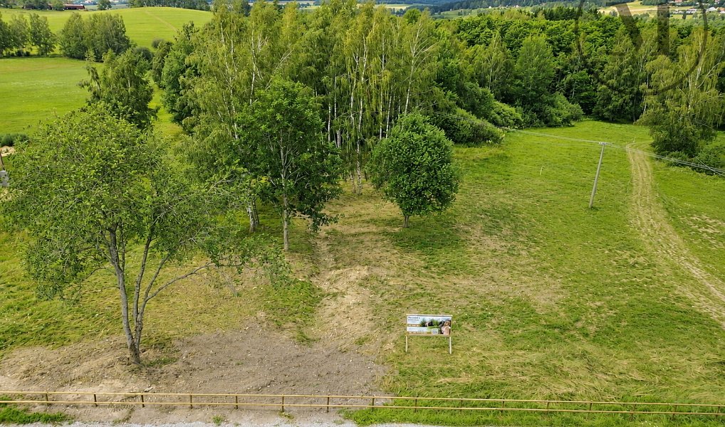 Prodej stavebního pozemku 14 346 m², Horní Planá – náhled fotky 7