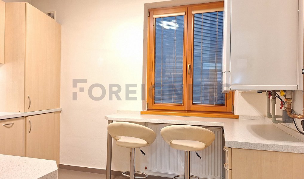 Pronájem bytu 1+1 53 m², Olomouc – náhled fotky 2