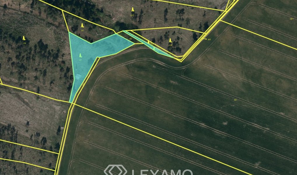 Prodej lesa 3 047 m², Vladislav – náhled fotky 3
