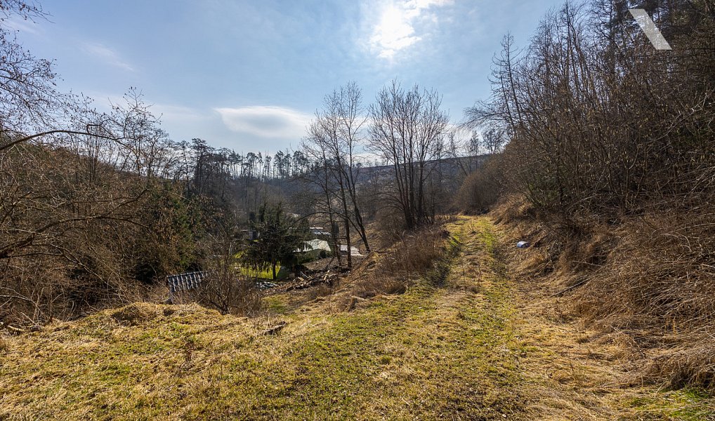 Prodej stavebního pozemku 3 388 m², Luka nad Jihlavou – náhled fotky 9