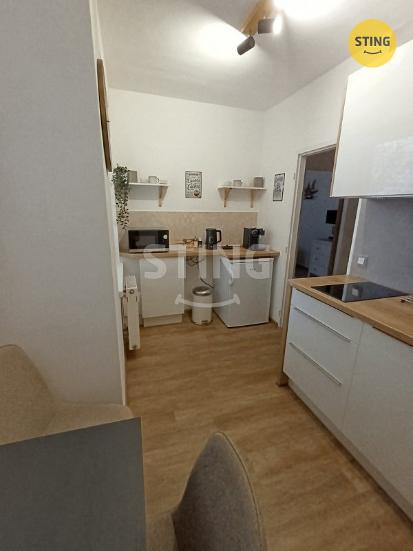 Pronájem bytu 1+1 36 m² - Widok 6