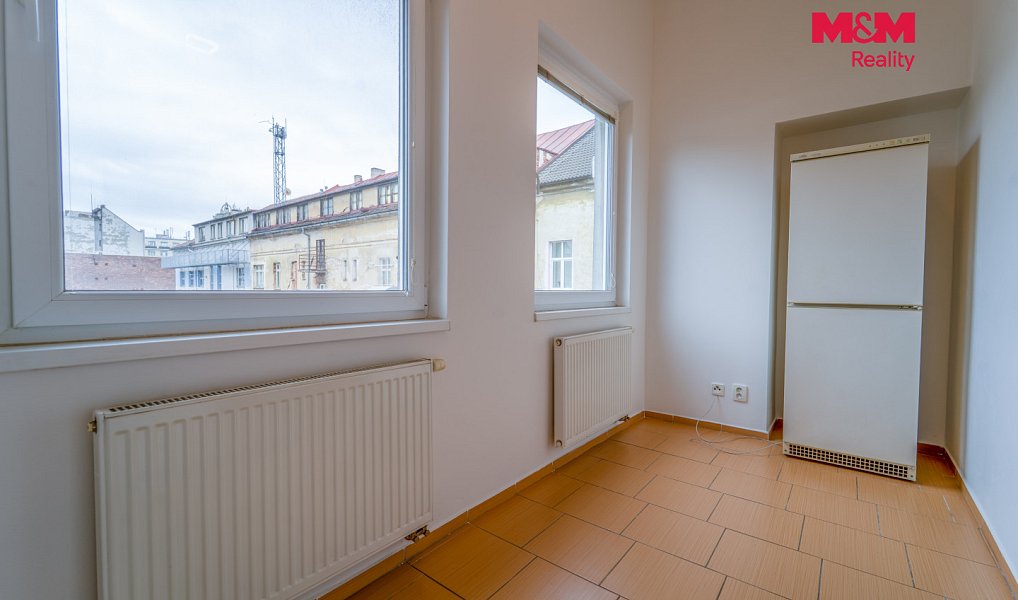 Pronájem bytu 1+1 65 m², Plzeň – náhled fotky 6
