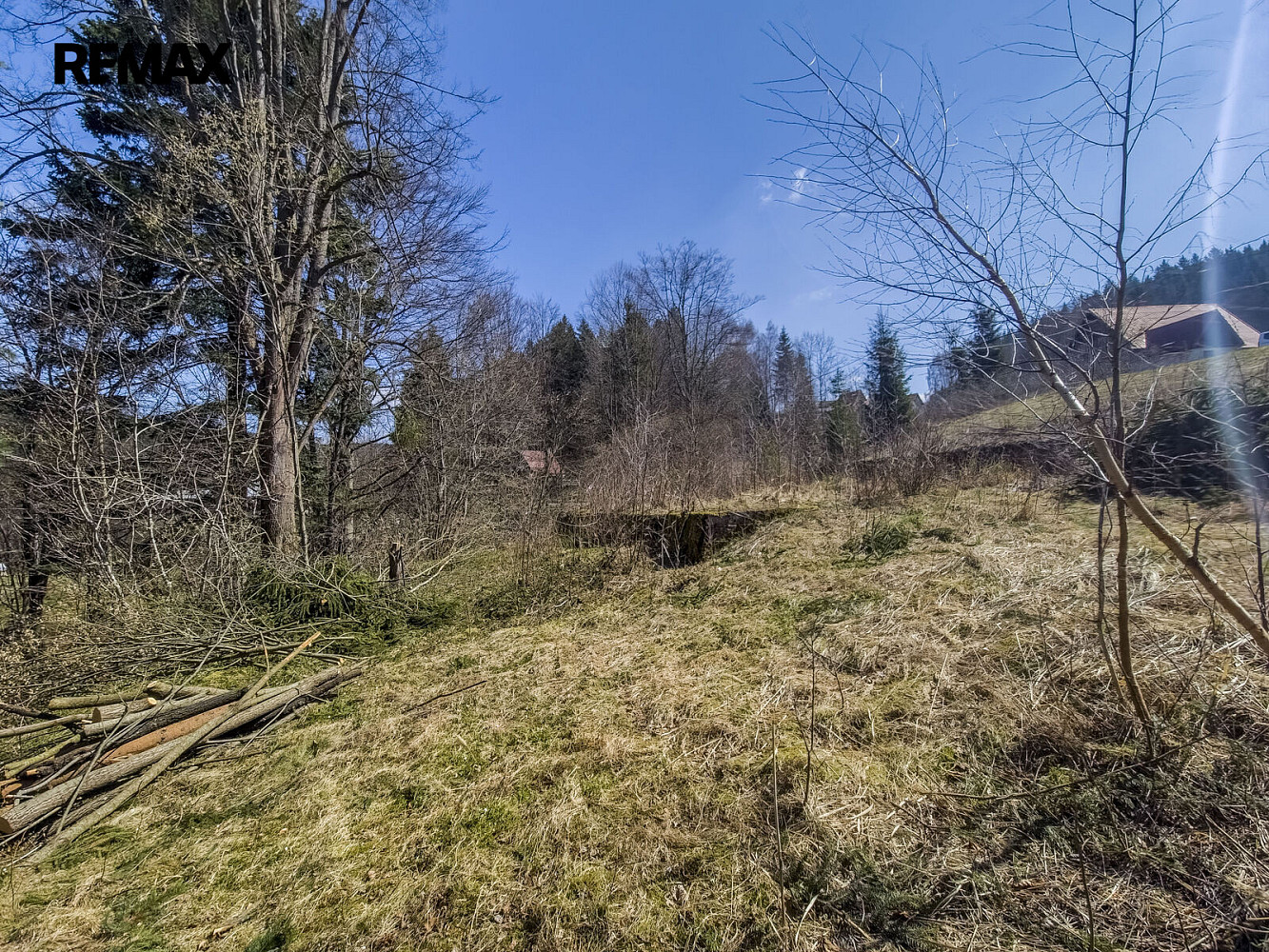 Fotka 11 z 25