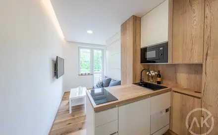 Pronájem bytu 1+kk 17 m², Haškova, Opava - Předměstí