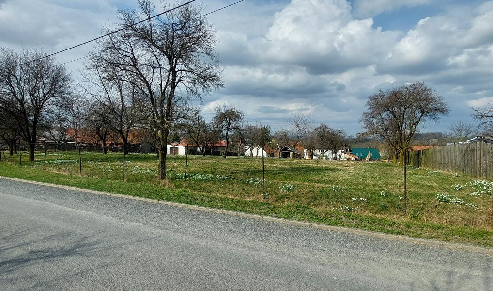 Prodej stavebního pozemku 1 563 m², Lešná – náhled fotky 5