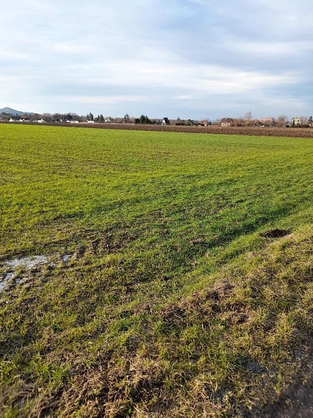 Pronájem zahrady 700 m²