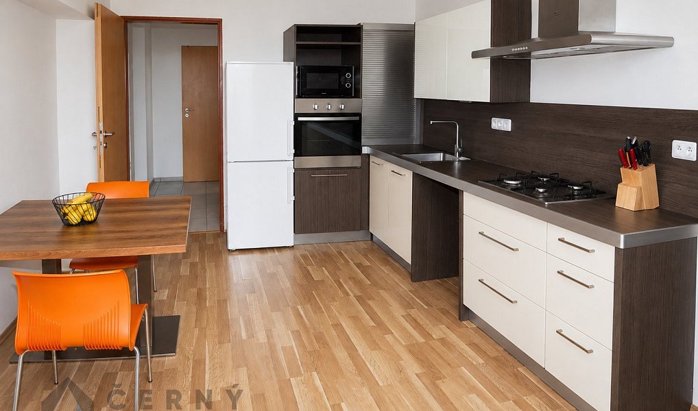 Pronájem bytu 2+1 49 m², Liberec – náhled fotky 2