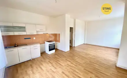 Pronájem bytu 1+kk 39 m²