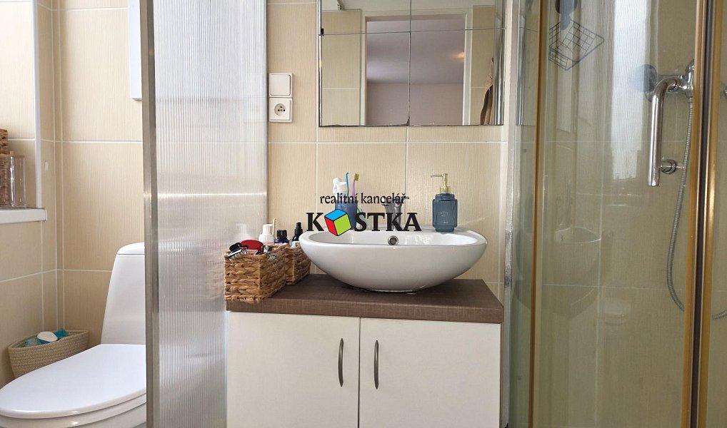 Pronájem bytu 1+1 48 m², Nový Jičín – náhled fotky 7