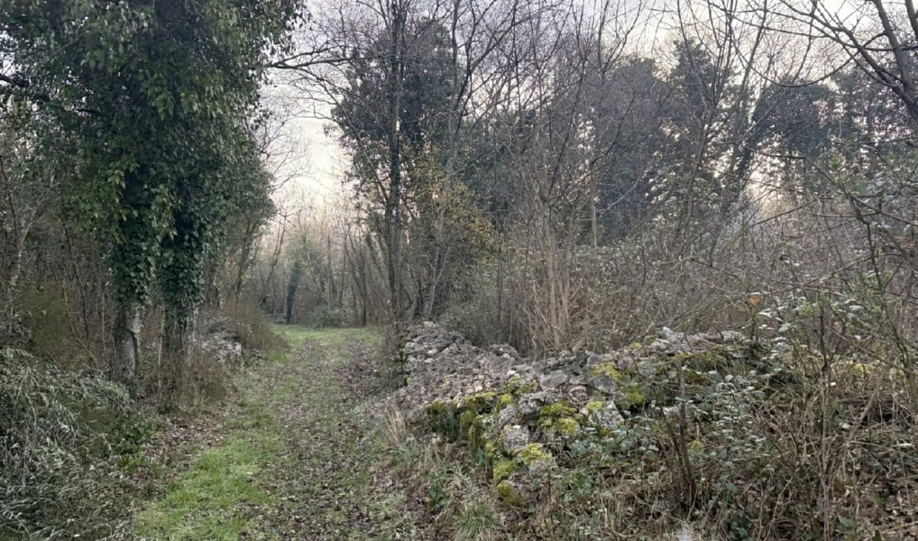 Prodej pozemku, 17520 m², Labin