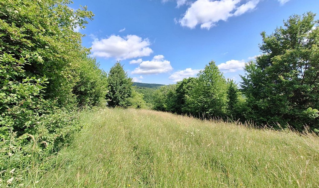 Prodej domu 80 m² s pozemkem 18 929 m², Žítková – náhled fotky 4