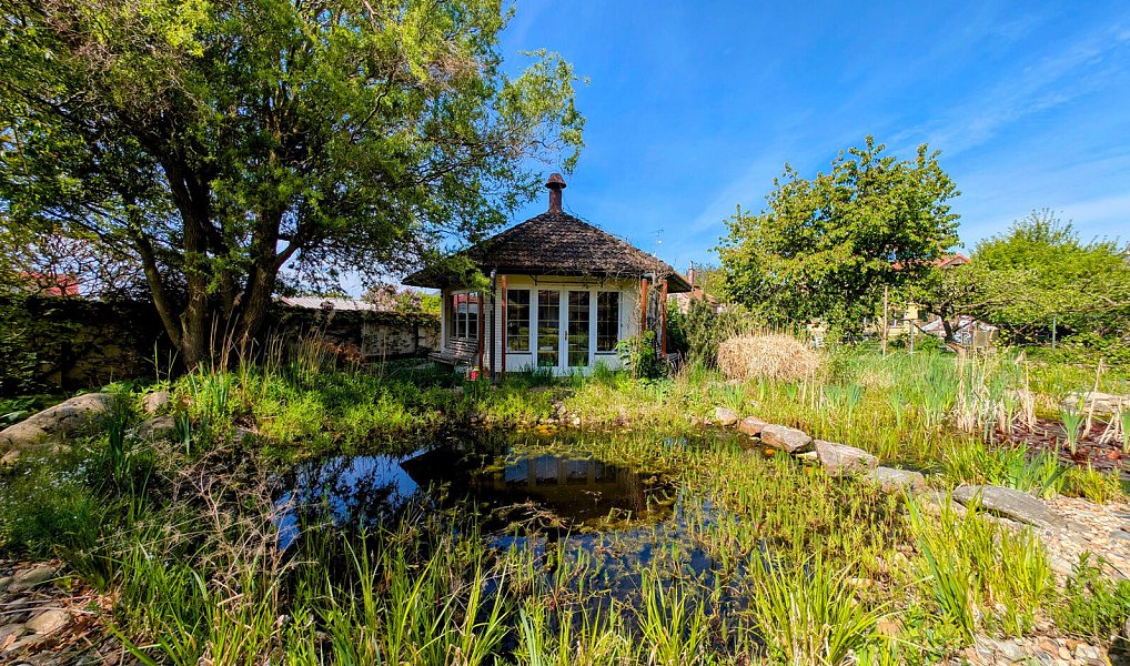 Prodej domu 950 m² s pozemkem 2 940 m², Přibyslav – náhled fotky 10
