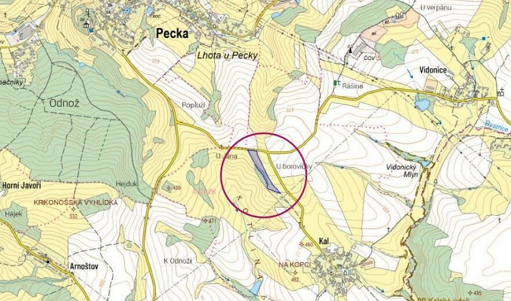 Prodej pole 15 954 m², Pecka – náhled fotky 3