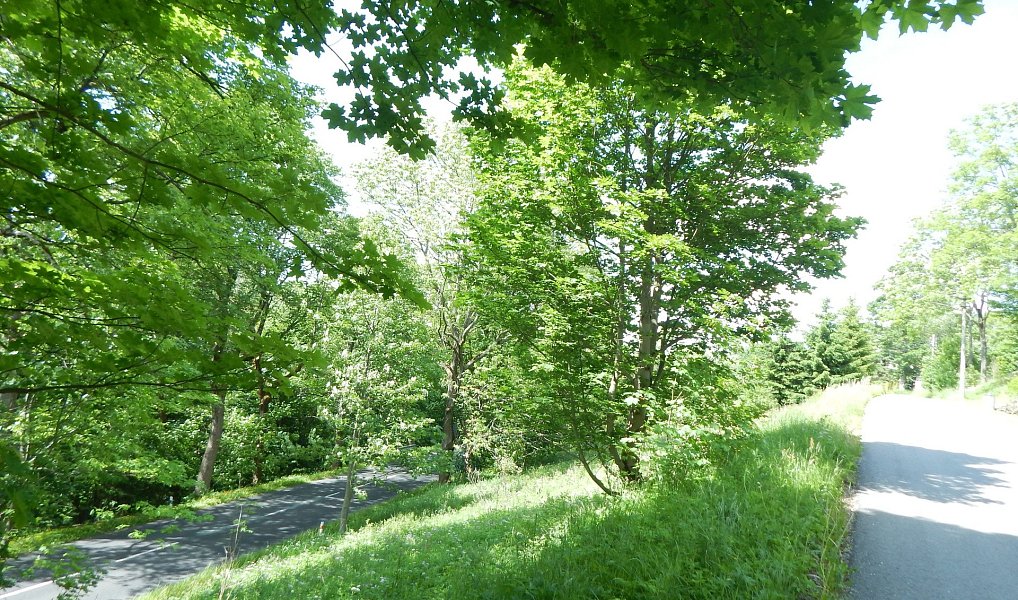 Prodej zahrady 876 m², Vejprty – náhled fotky 24