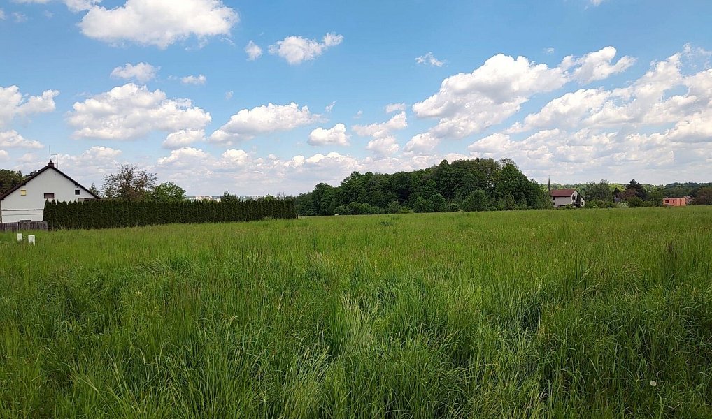 Prodej stavebního pozemku 2 600 m², Václavovice – náhled fotky 4