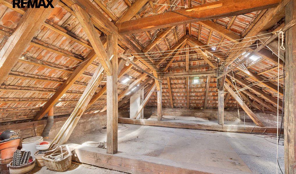 Prodej zemědělského objektu 260 m², Drahonín – náhled fotky 33