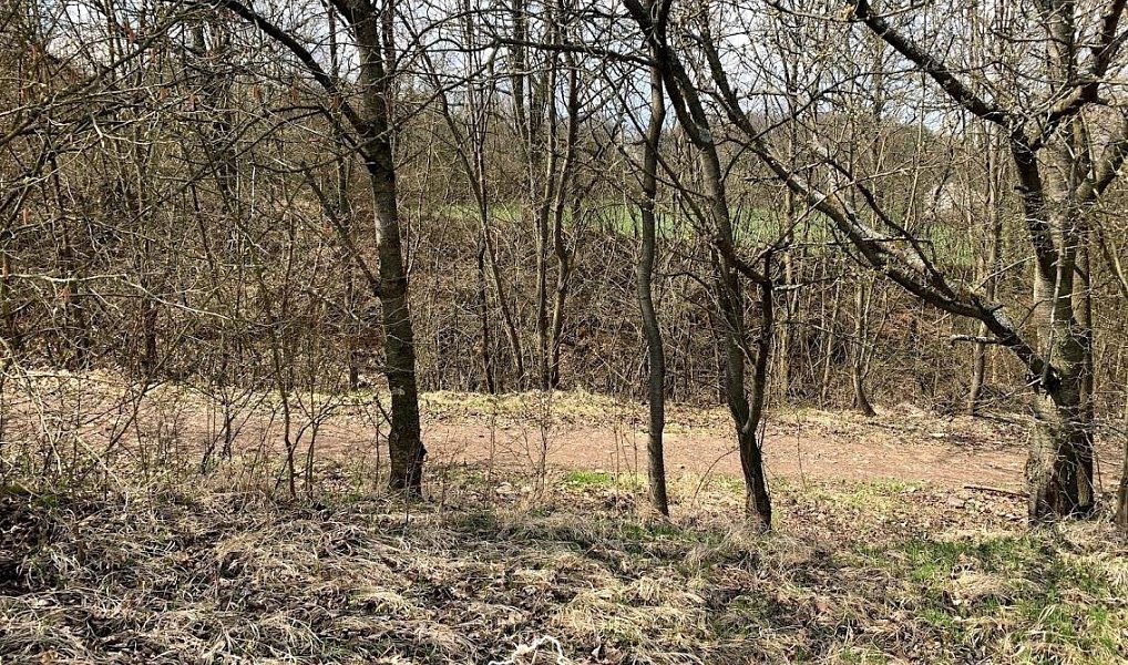 Prodej pozemku 1 151 m², Vonoklasy – náhled fotky 6