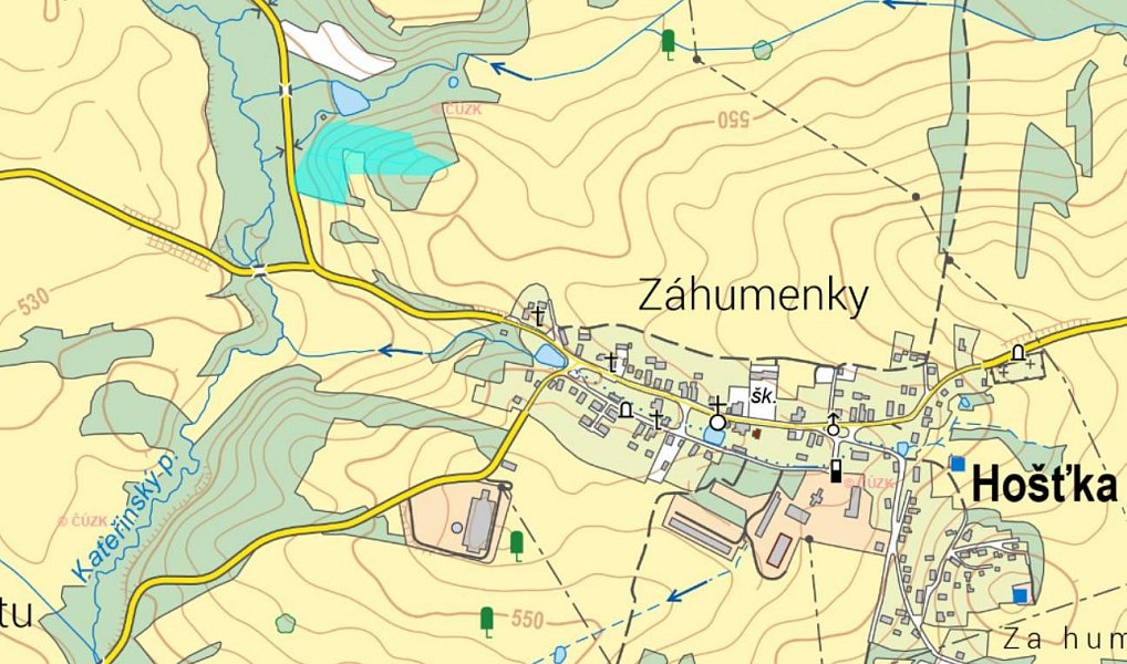 Prodej louky 22 911 m², Hošťka – náhled fotky 5