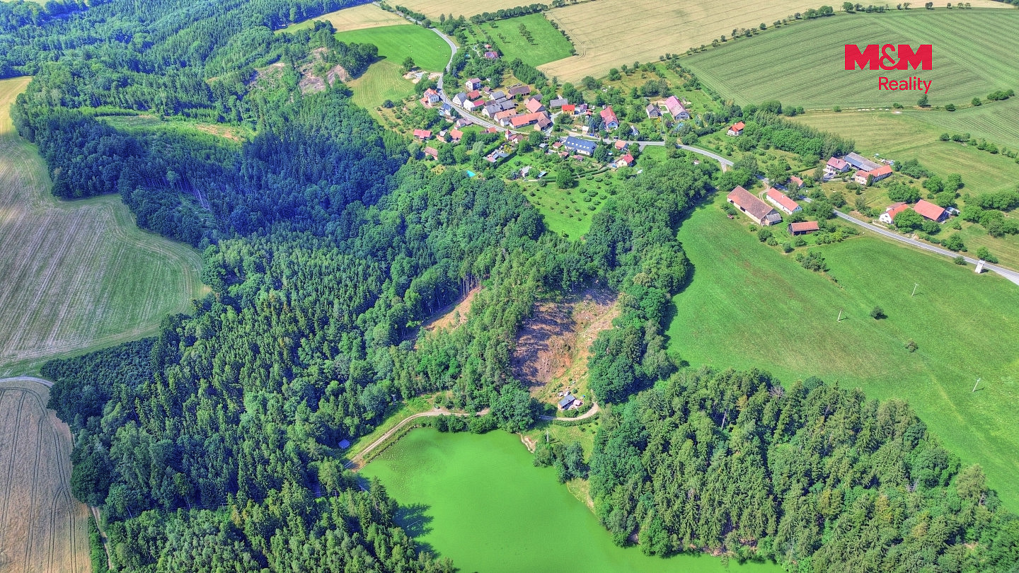Prodej lesa 32 996 m² — photo 4