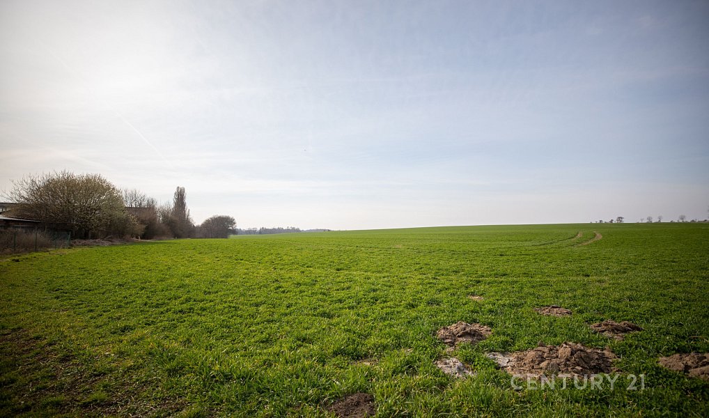Prodej bytu 3+1 71 m², Bečváry – náhled fotky 28