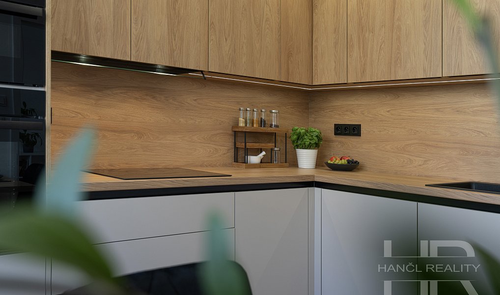 Pronájem bytu 3+1 60 m², Olomouc – náhled fotky 3
