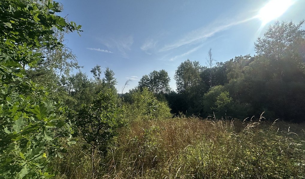 Prodej pozemku 3 546 m², Kaplice – náhled fotky 3