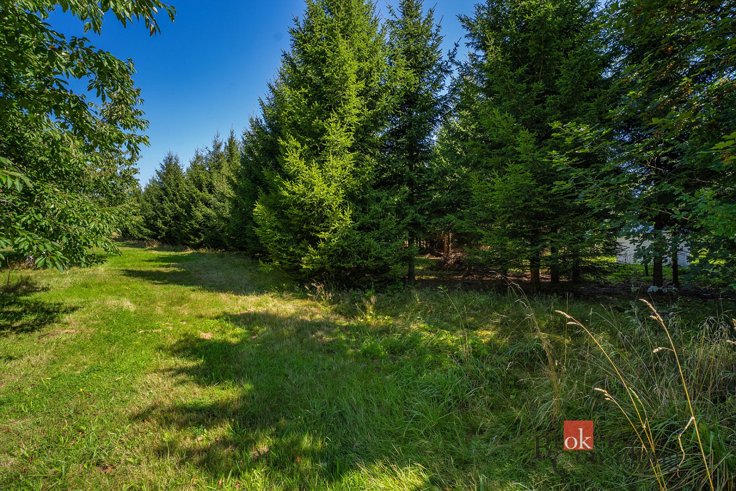 Prodej stavebního pozemku 12 049 m² – fotografie 4