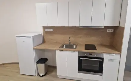 Pronájem bytu 1+1 45 m², Tečovice, okres Zlín
