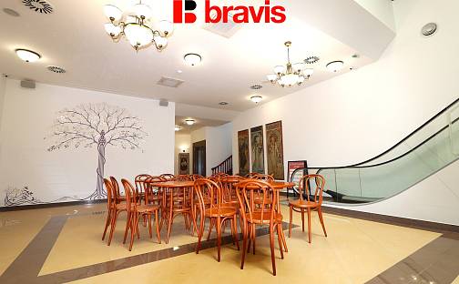 Pronájem obchodních prostor 40 m², Starobrněnská, Brno - Brno-město