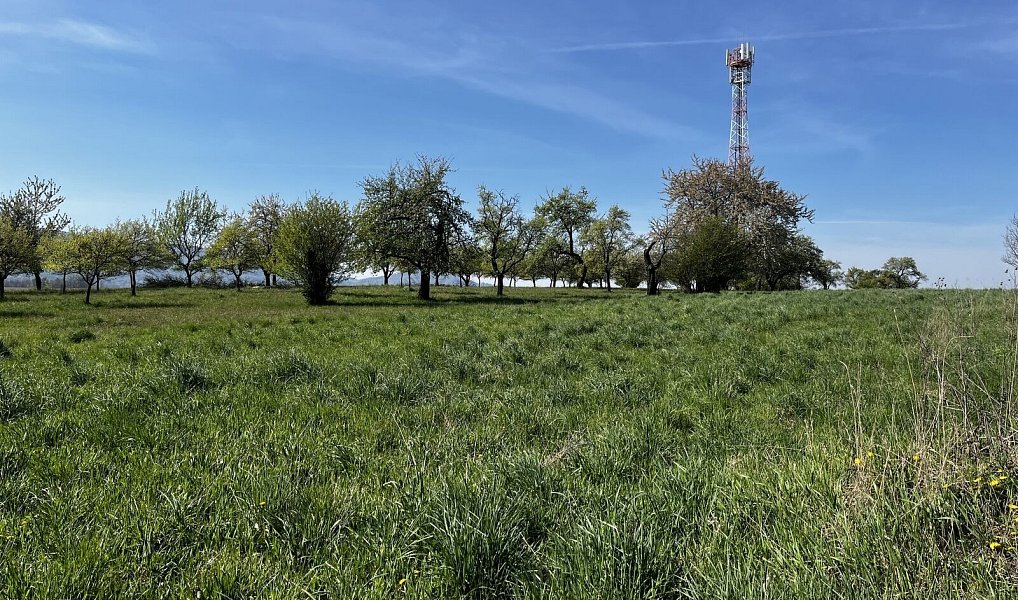 Prodej pozemku 7 559 m², Horní Újezd – náhled fotky 5