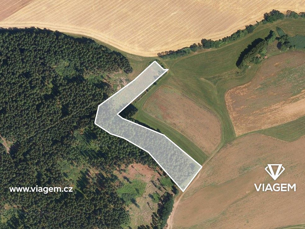 Prodej lesa 3 898 m² – fotografie 2